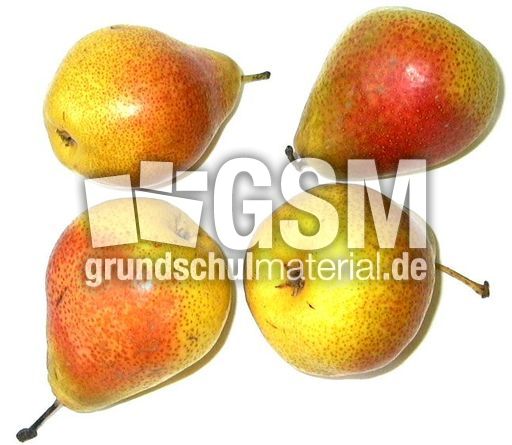 Birnen-4.jpg